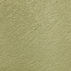 C43 (Avocado)