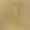 LP24 (Golden Beige)